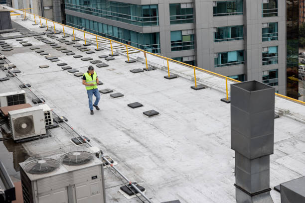 Best Solar Panel Roofing Installation  in Albany, MN