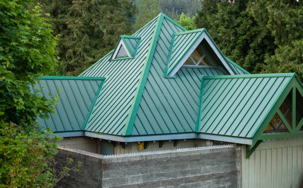 Best Chimney Flashing Repair  in Albany, MN