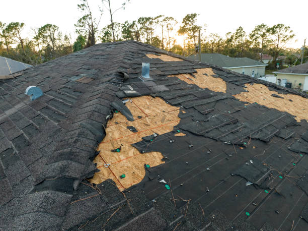 Professional Roofing Service in Albany, MN