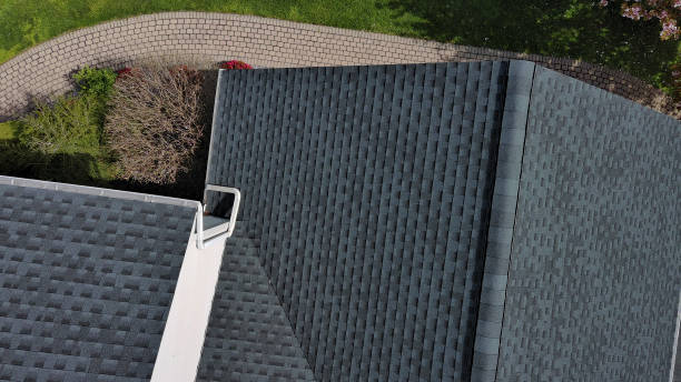 Best Asphalt Shingle Roofing  in Albany, MN