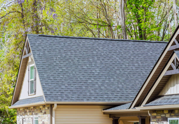 Best Gutter Installation and Repair  in Albany, MN