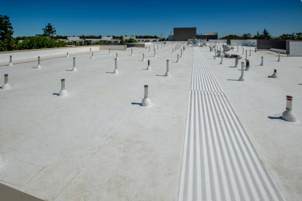 Best Gutter Installation and Repair  in Albany, MN